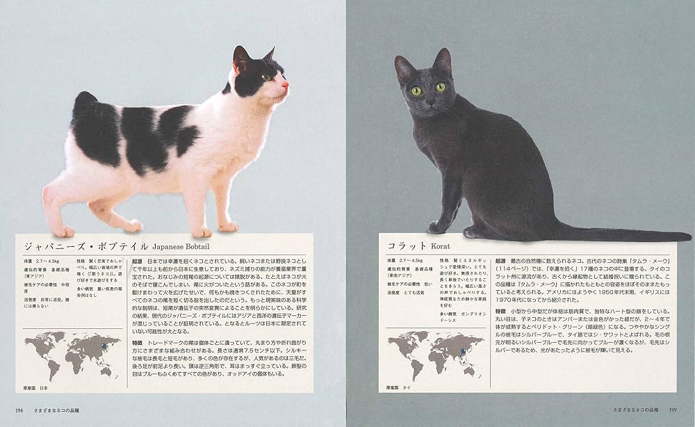 ネコの博物図鑑 | サラ・ブラウン, 角 敦子 |本 | 通販 | Amazon